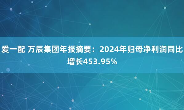 爱一配 万辰集团年报摘要：2024年归母净利润同比增长453.95%