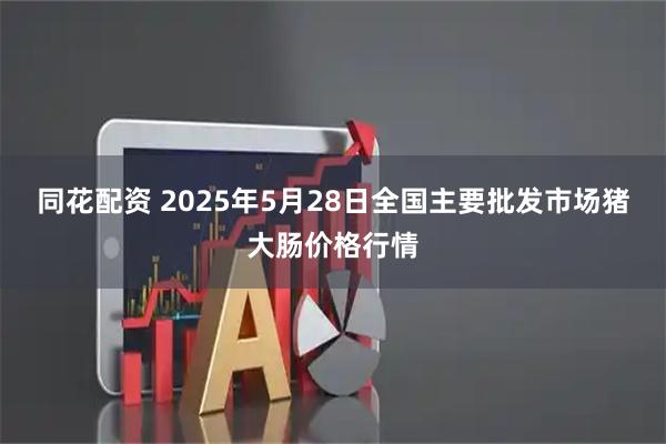 同花配资 2025年5月28日全国主要批发市场猪大肠价格行情