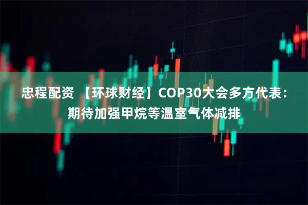 忠程配资 【环球财经】COP30大会多方代表：期待加强甲烷等温室气体减排