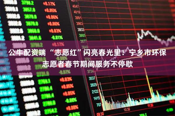 公牛配资端 “志愿红”闪亮春光里！宁乡市环保志愿者春节期间服务不停歇