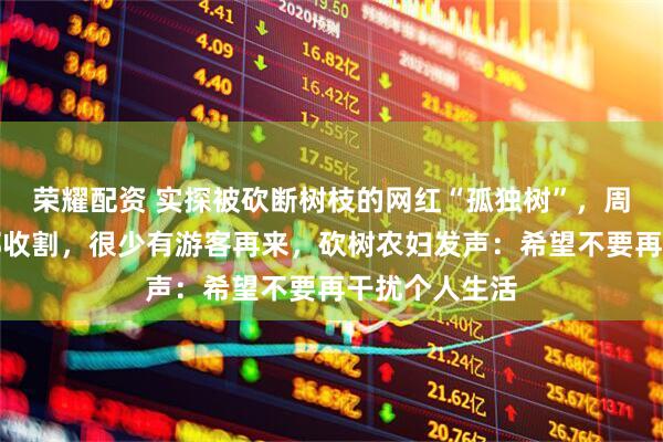 荣耀配资 实探被砍断树枝的网红“孤独树”，周边麦田已全部收割，很少有游客再来，砍树农妇发声：希望不要再干扰个人生活