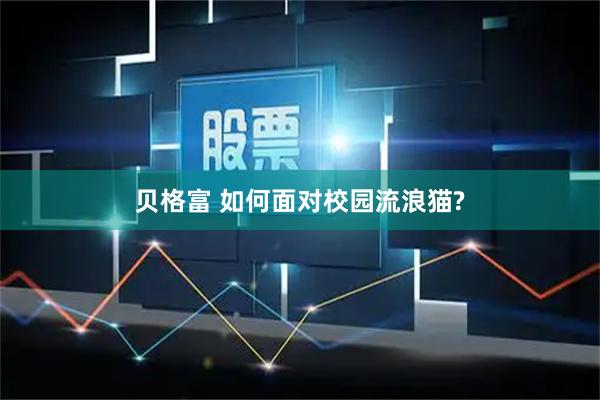 贝格富 如何面对校园流浪猫?