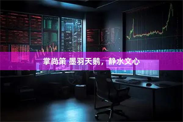 掌尚策 墨羽天鹅，静水文心