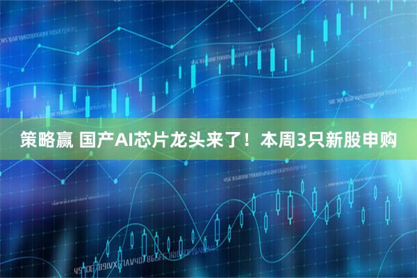 策略赢 国产AI芯片龙头来了！本周3只新股申购